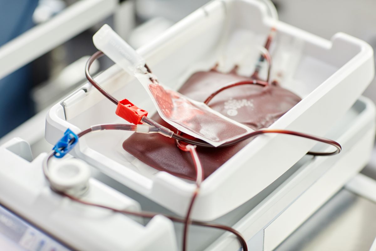 Be a Hero: How Your Blood Can Save Up to Three Lives