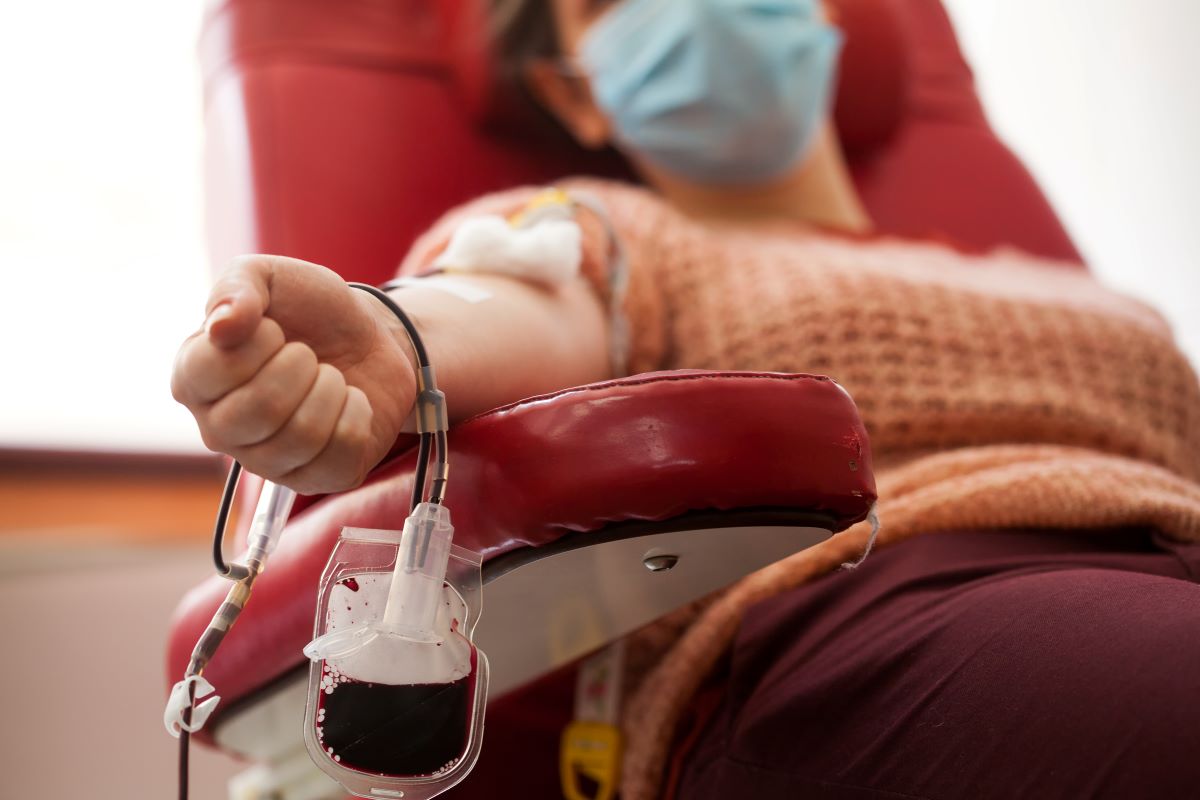 Can Donating Blood Improve Your Health? Here’s What Science Says
